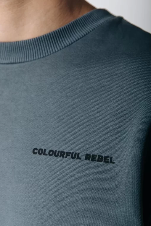 Art Sweat | Dark Grey | Colourful Rebel Store