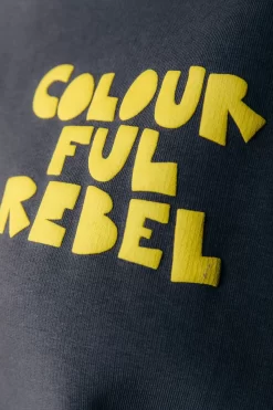 Logo Hoodie | Anthracite | Colourful Rebel Fashion