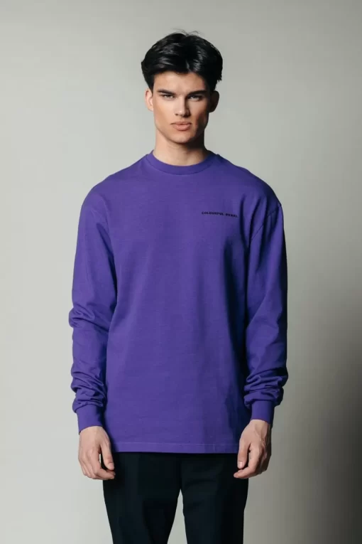 Reality Long Sleeve | Dark Purple | Colourful Rebel Cheap