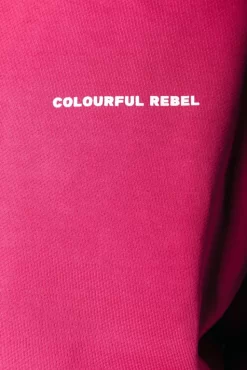 Uni Logo Relaxed Hoodie | Burgundy | Colourful Rebel Sale