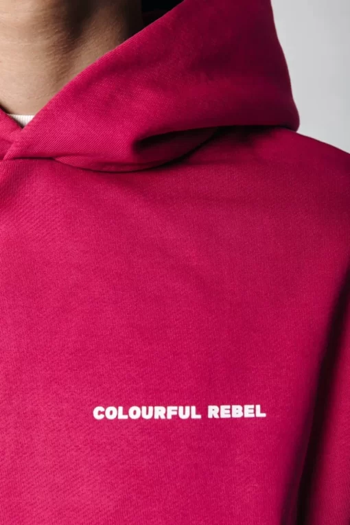 Uni Logo Relaxed Hoodie | Burgundy | Colourful Rebel Sale